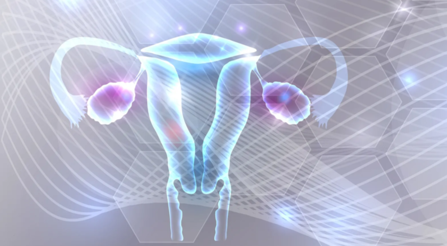 УЗИ проходимости маточных труб со скидкой 10%